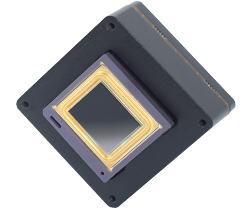 ���������оMC384