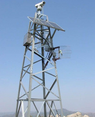 ��Ȼ������������������ɭ�ַ���