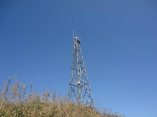 ɽ������ɭ�ַ���