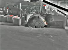 mg����ͻ��(�й���)�ٷ���վ