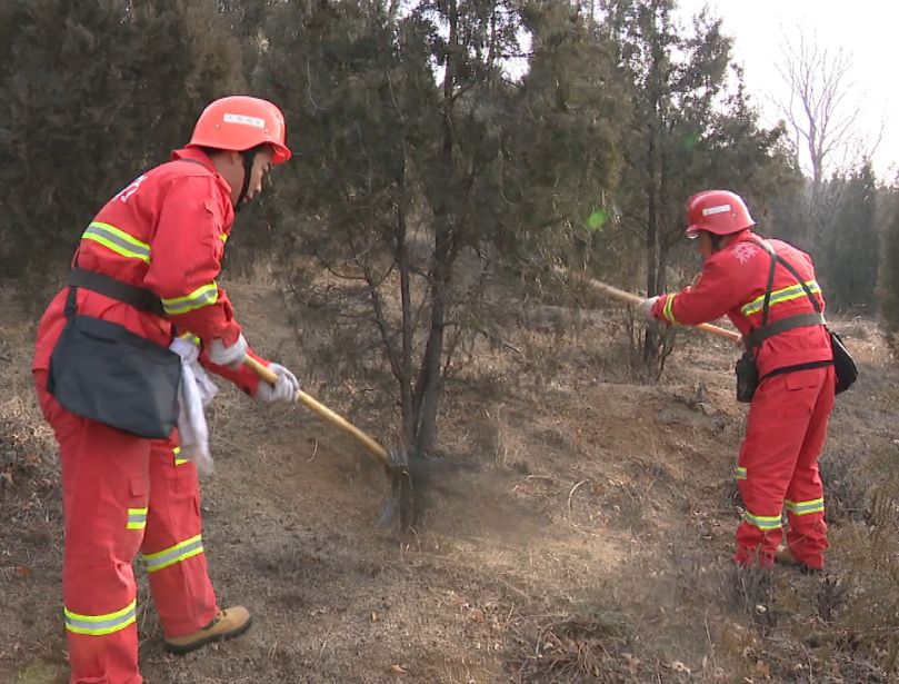 mg����ͻ��(�й���)�ٷ���վ