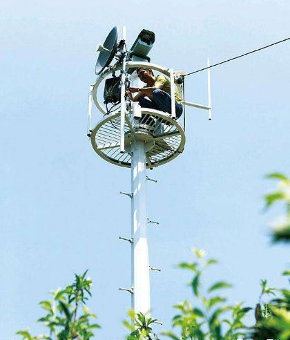 ���ڿƼ�����ֲ��������������������ֲ�����з���!