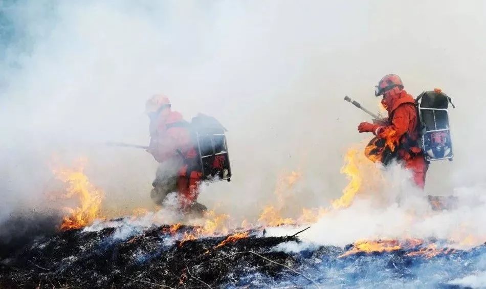 mg����ͻ��(�й���)�ٷ���վ