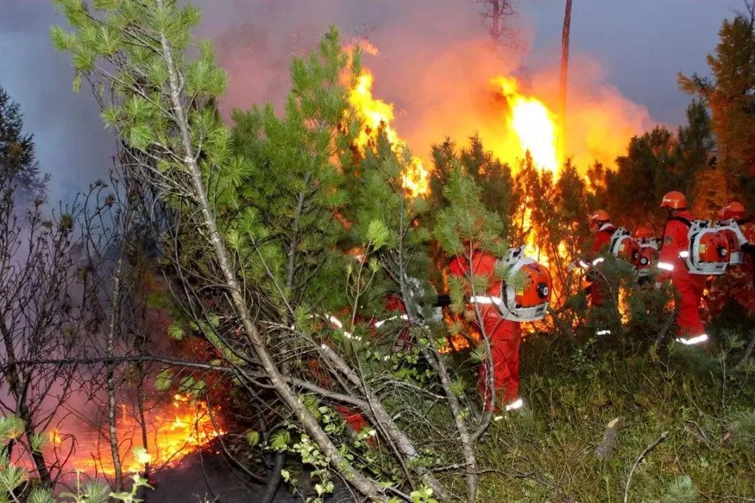 ����ɭ�ַ���֪ʶ�������������������ǲ��ɵ�������