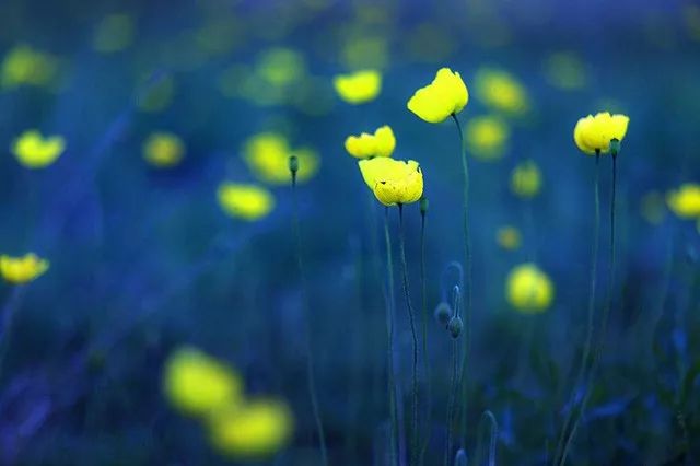 mg����ͻ��(�й���)�ٷ���վ