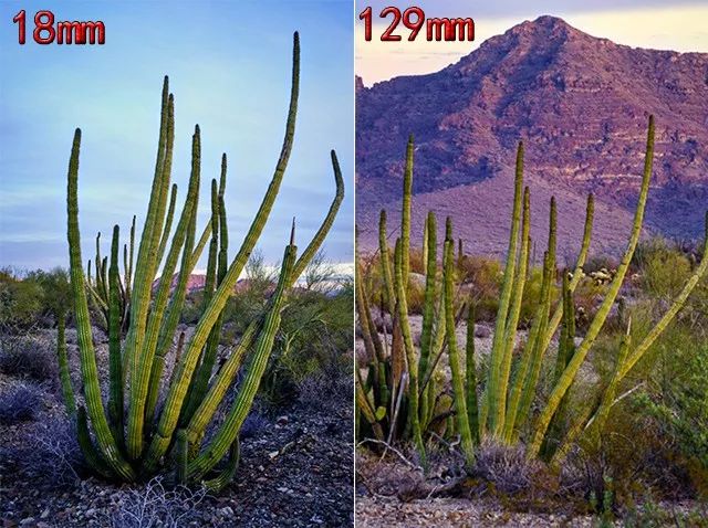 mg����ͻ��(�й���)�ٷ���վ