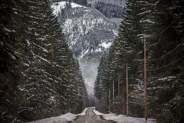 mg����ͻ��(�й���)�ٷ���վ