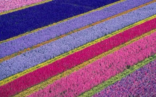 mg����ͻ��(�й���)�ٷ���վ