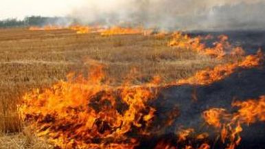 ɭ�ַ��� �������� ���սո� ��ϧ��԰