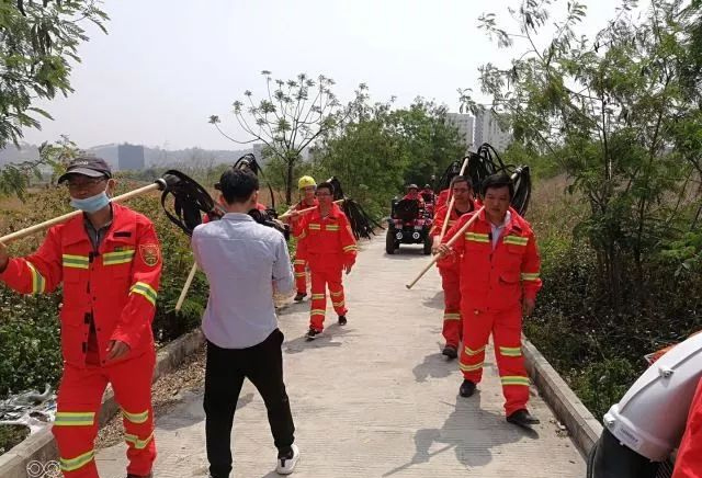 ɭ�ַ�����ϵͳר�� | ���ս��һ�ߵġ������ˡ��¾�