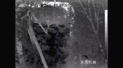 mg����ͻ��(�й���)�ٷ���վ