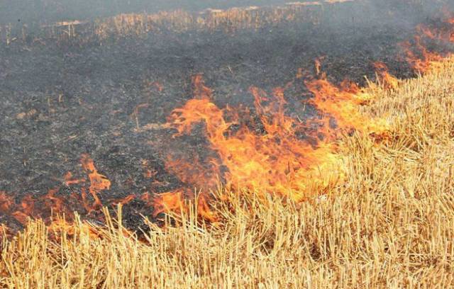 mg����ͻ��(�й���)�ٷ���վ