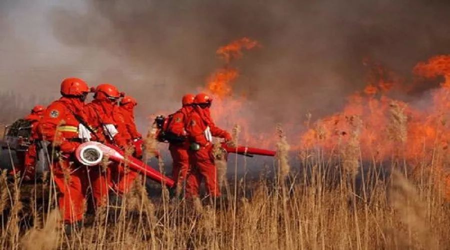 ����ҵ�ִ�á���һ������ɭ�ַ��𹥼�ս