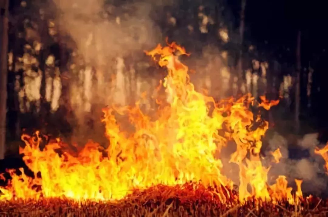 mg±ùÇòÍ»ÆÆ(ÖйúÓÎ)¹Ù·½ÍøÕ¾