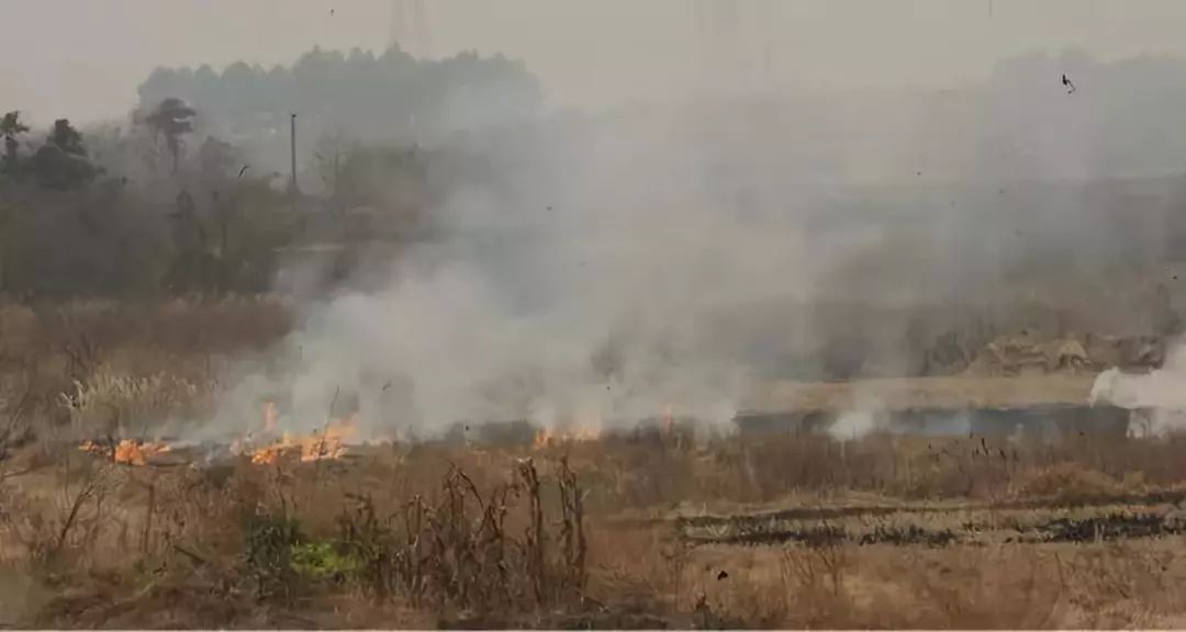 ����â���������������������սո�����������������������ˮ���죡