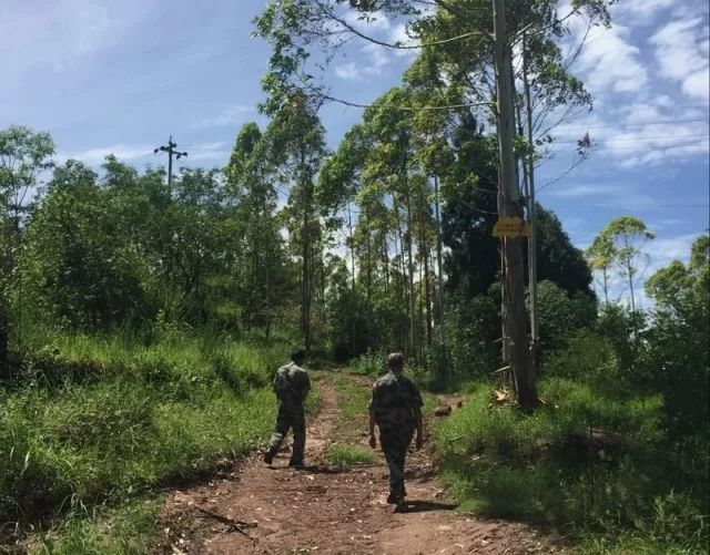 mg����ͻ��(�й���)�ٷ���վ