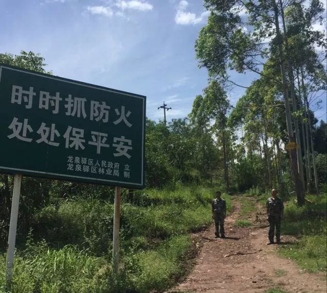 mg����ͻ��(�й���)�ٷ���վ