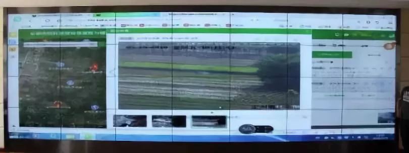 mg����ͻ��(�й���)�ٷ���վ