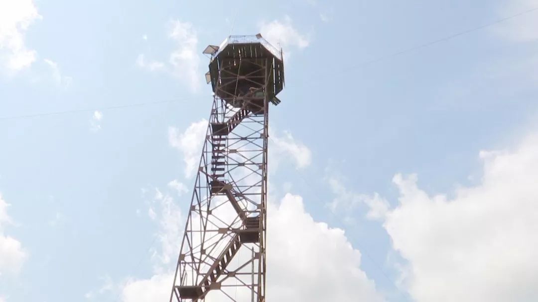 mg����ͻ��(�й���)�ٷ���վ