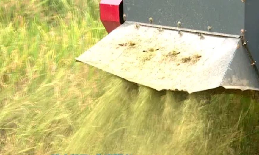 mg����ͻ��(�й���)�ٷ���վ