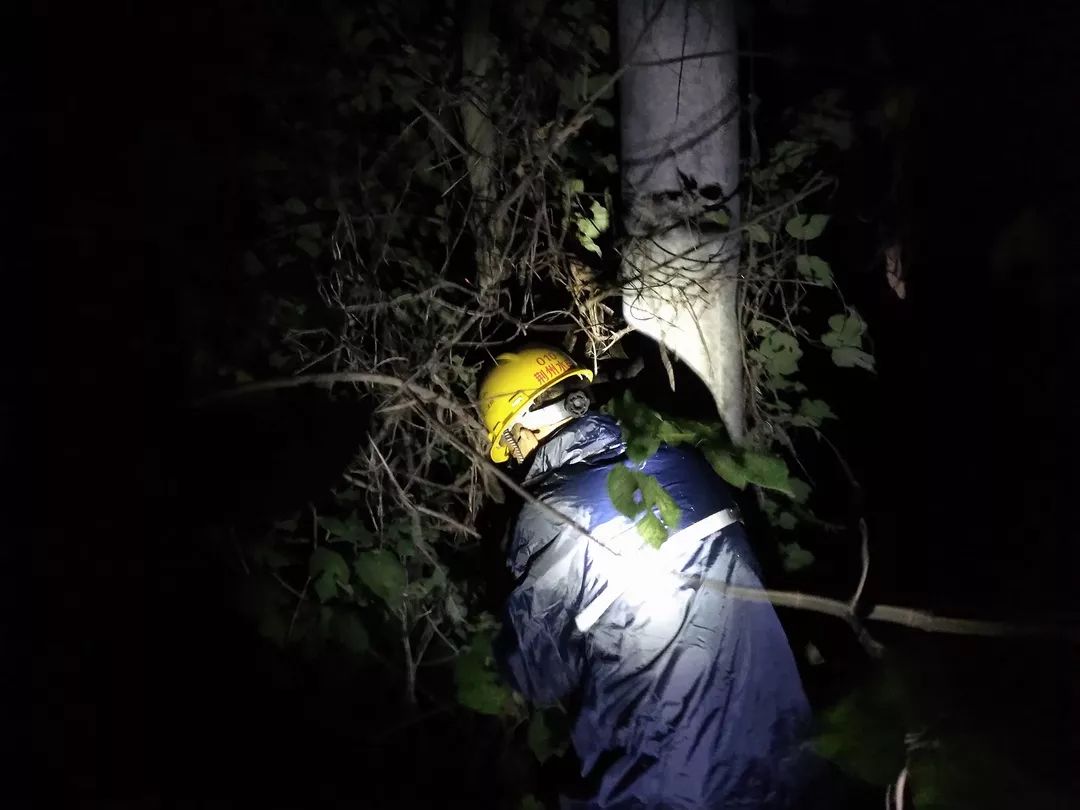 mg����ͻ��(�й���)�ٷ���վ