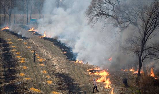 ���׽ոѱ�ȼ���������������ӱ����Ǽ����Щȫ���֣�Υ���ط���