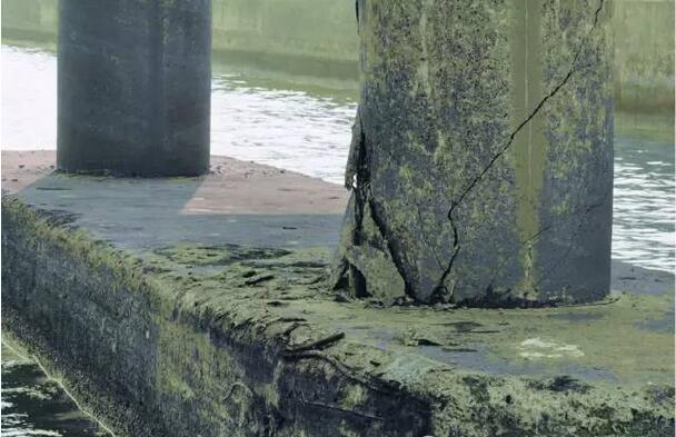 mg����ͻ��(�й���)�ٷ���վ