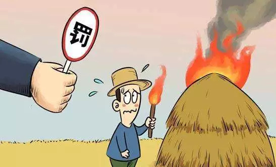 ���սո�������������  ���������𣿣�����������