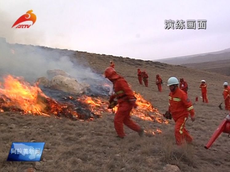 �˷�+������������������������ɽɭ�ַ�����������˫����