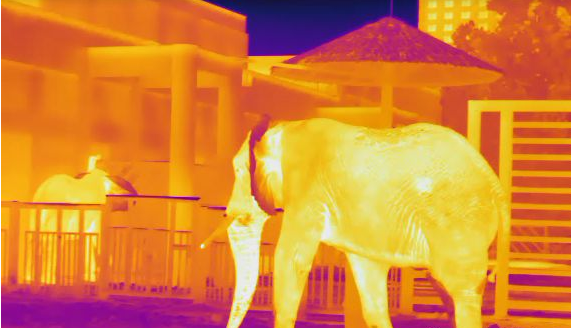 mg±ùÇòÍ»ÆÆ(ÖйúÓÎ)¹Ù·½ÍøÕ¾