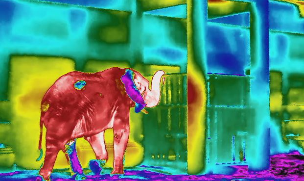 mg����ͻ��(�й���)�ٷ���վ