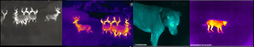 mg����ͻ��(�й���)�ٷ���վ