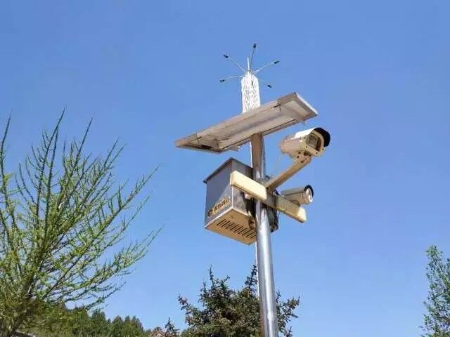 ԭɽ�ֳ�ʵ����ҵԤ�����Ƽ����� ����ɭ����Դ����һʧ