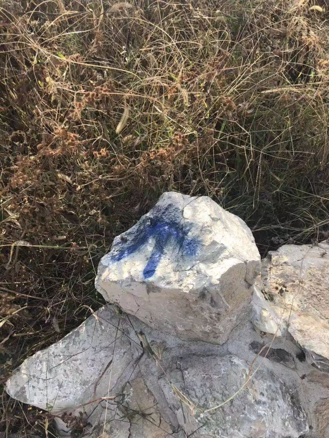 ���ͽֵ����ɭ�ַ��𿨿ڼ��װ��װ�á�ѡַ����