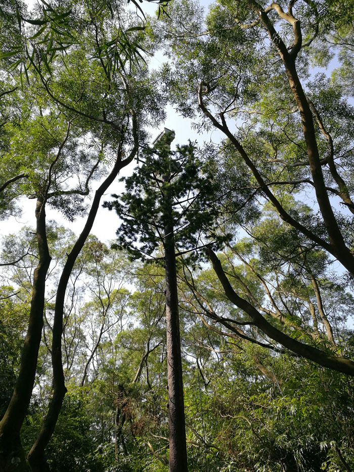 mg±ùÇòÍ»ÆÆ(ÖйúÓÎ)¹Ù·½ÍøÕ¾