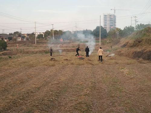 mg����ͻ��(�й���)�ٷ���վ