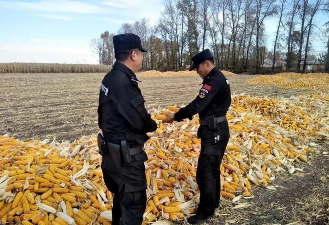 ���սո�����䡢�������걣����