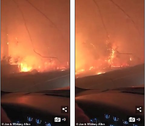 mg����ͻ��(�й���)�ٷ���վ