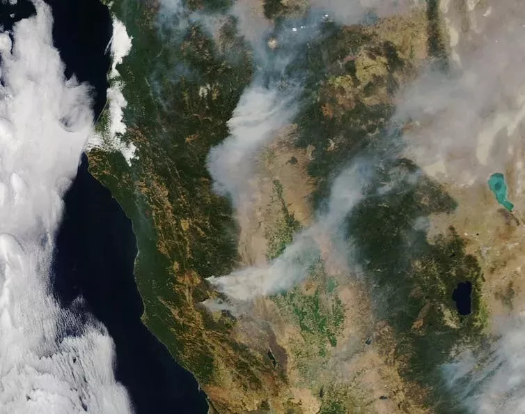 ɭ�ַ�����ת̨������ɭ�ֵġ��ǻ��ۡ�