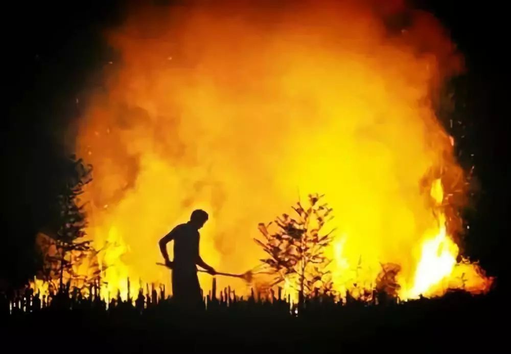 ���������������ݴ�𣿣��������������������ñ���ɭ�ֻ������ų��������磿��������������