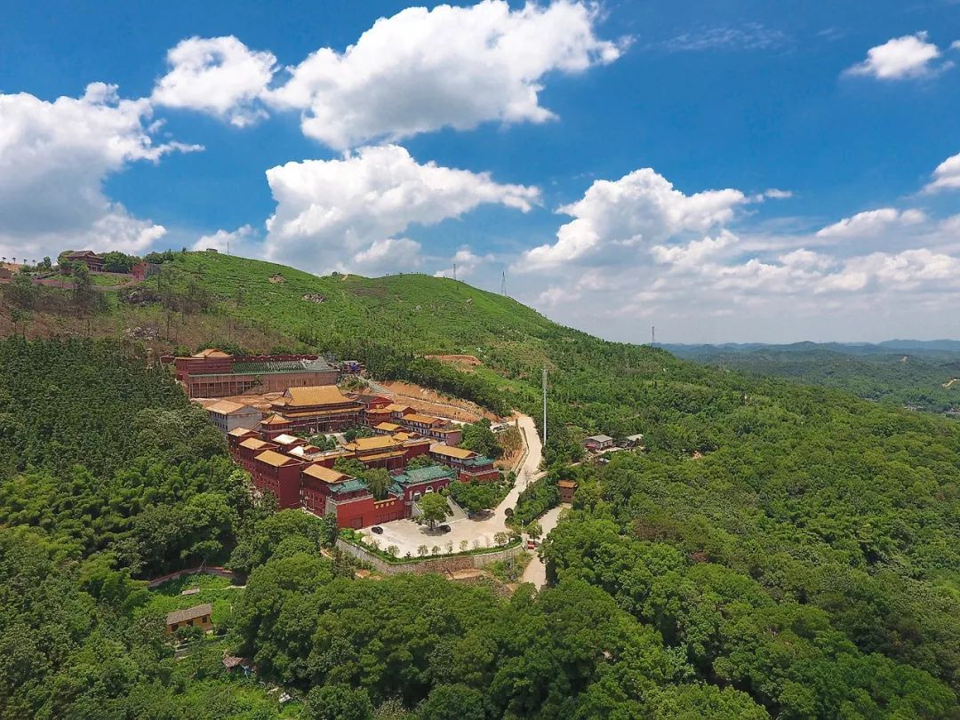 mg����ͻ��(�й���)�ٷ���վ