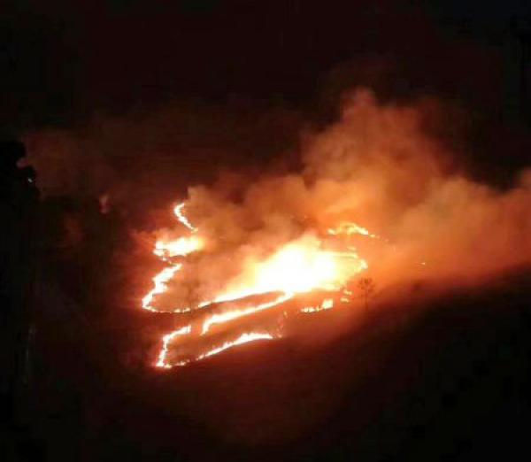 mg����ͻ��(�й���)�ٷ���վ