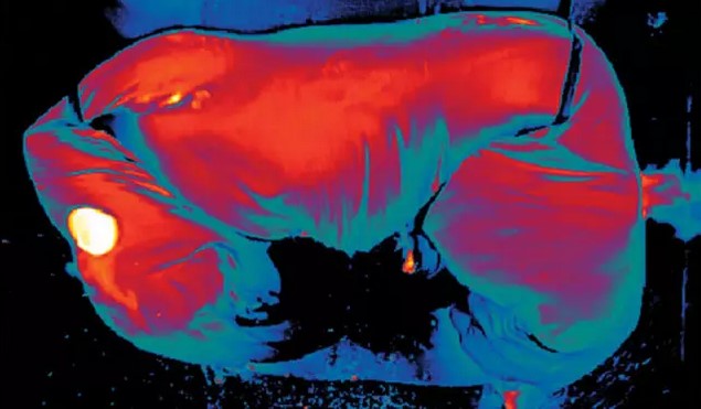 mg����ͻ��(�й���)�ٷ���վ