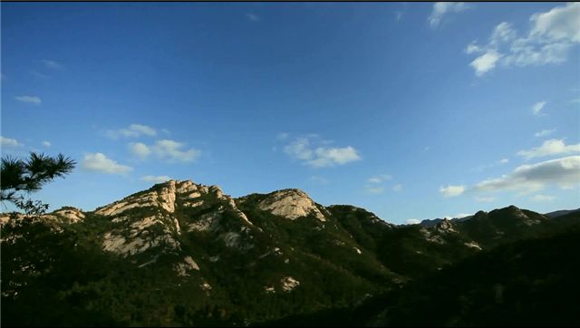 ��ҵ��ָ�ӵ���ɭ�ַ�����Ƶϵͳ����ƻ�