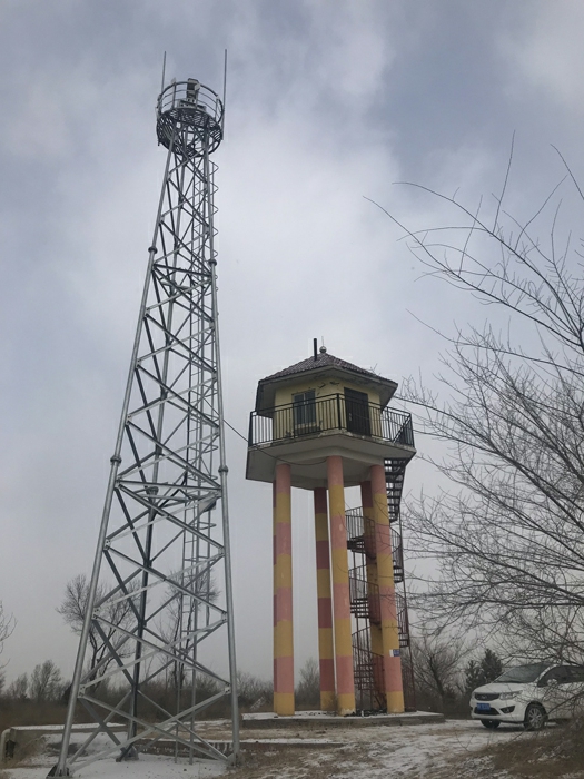 ֲ�����֣����������������ҵ�---��������ɭ�ַ�����Ƶ���ϵͳ