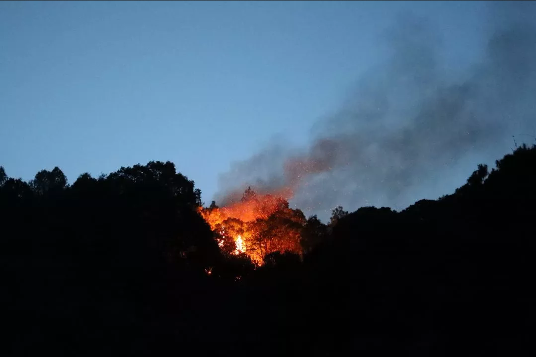 ���������ڼ��ϵͳ�п����õ���Щ�ط������������յ�������