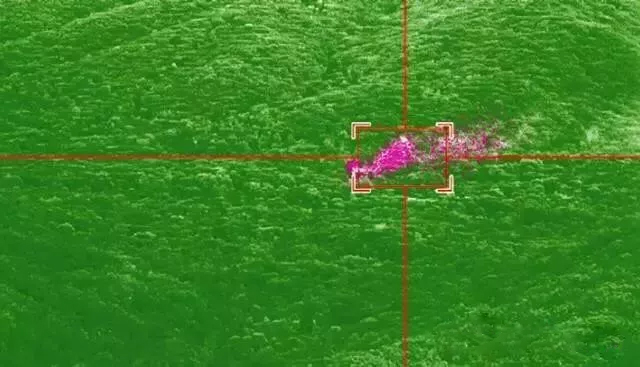 mg����ͻ��(�й���)�ٷ���վ