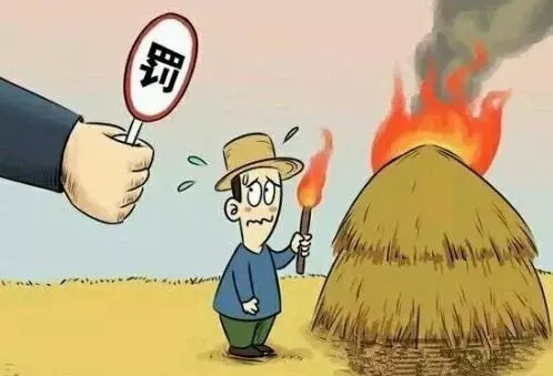 mg����ͻ��(�й���)�ٷ���վ