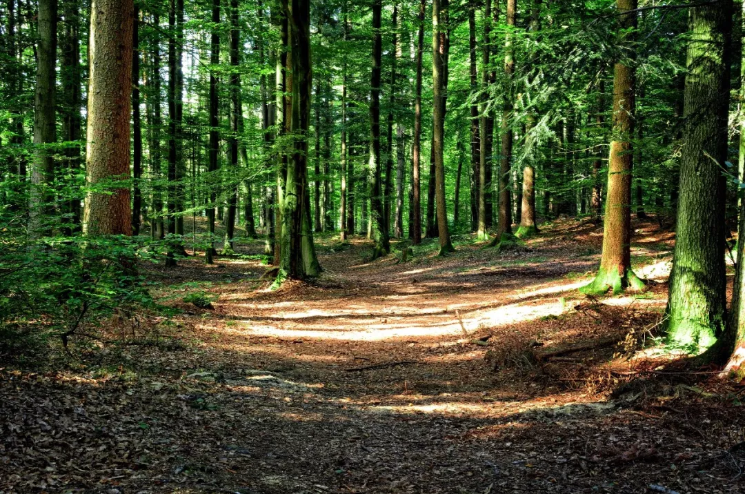 �ǻ���ҵ�������������ƻ�