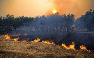 mg����ͻ��(�й���)�ٷ���վ